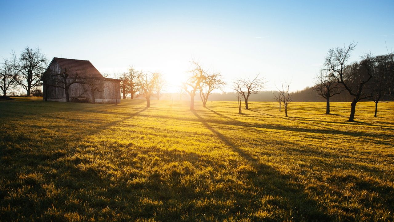 Sunny Autumn House