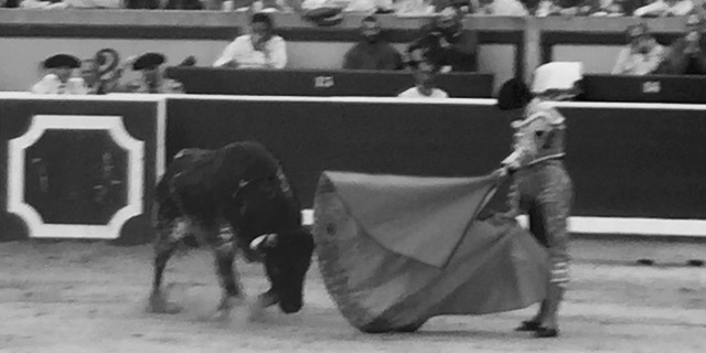 bullfighting in navarra