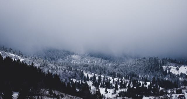 mountain with pine trees covered in snow