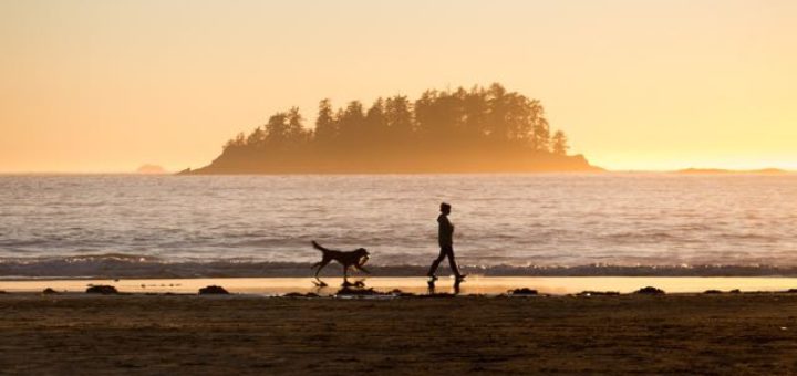 girl walking on beach with dog at sunset