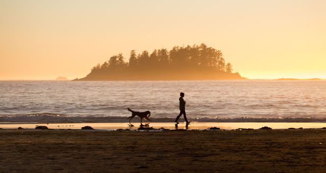 girl walking on beach with dog at sunset