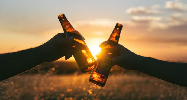 clinking beers in an open field at sunset