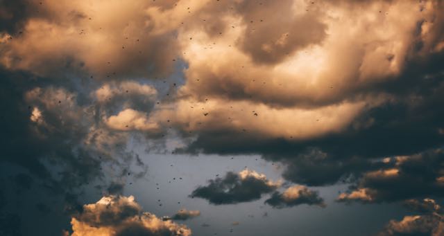 white and dark clouds with birds